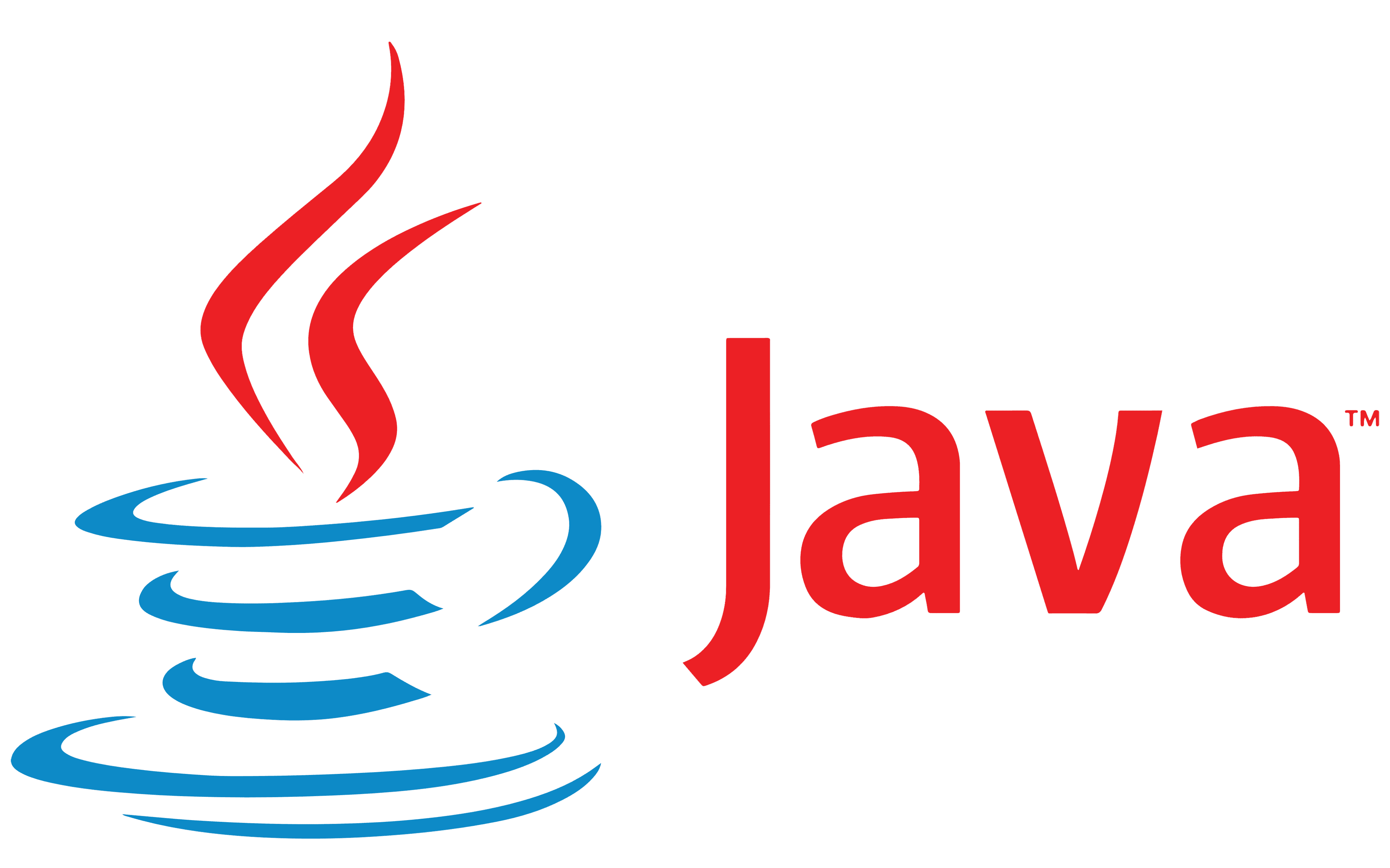 Java FS icon